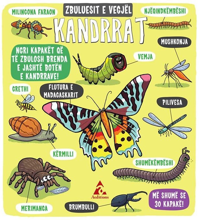 Zbuluesit e vegjël - Kandrrat
